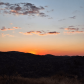 ig